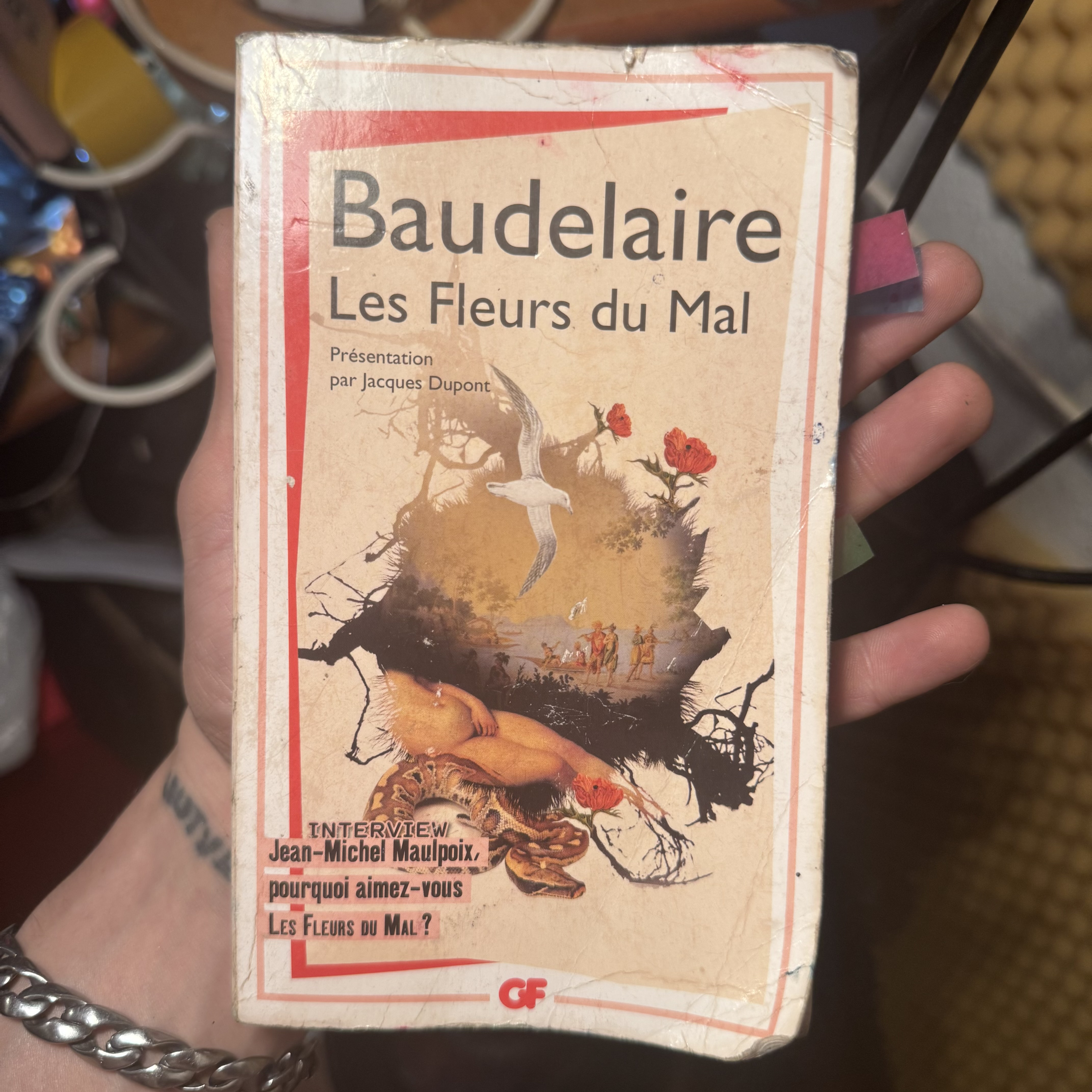 Das Buch im Original was als Basis benutzt wurde. Shoutouts an meine Schwester fürs ausleihen letzten Winter